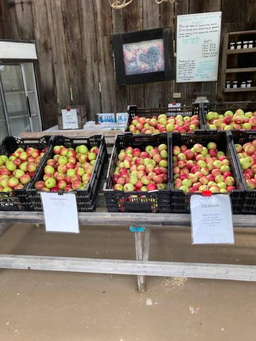 Baskets of apples labeled "Empire" and "McIntosh" displayed on a wooden table in a rustic market setting.