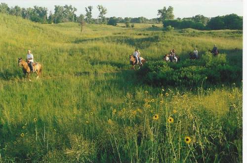 A group of people riding horses through a lush green field with wildflowers under a clear blue sky.