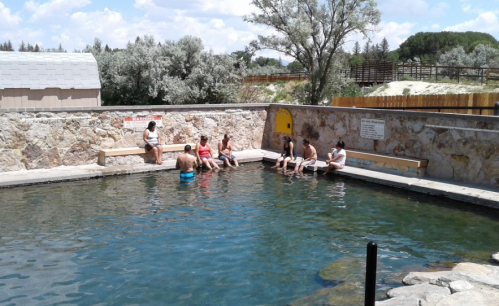 A group of people relaxes in a natural hot spring surrounded by trees and a stone wall on a sunny day.