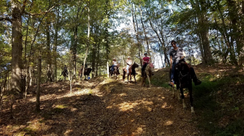 A group of people riding horses along a wooded trail, surrounded by trees and autumn foliage.