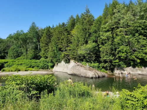 A serene river scene surrounded by lush greenery and trees, with people enjoying the water on a sunny day.