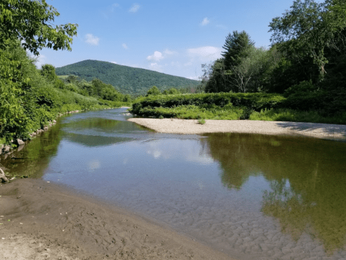A serene river bends through lush greenery, with mountains in the background under a clear blue sky.