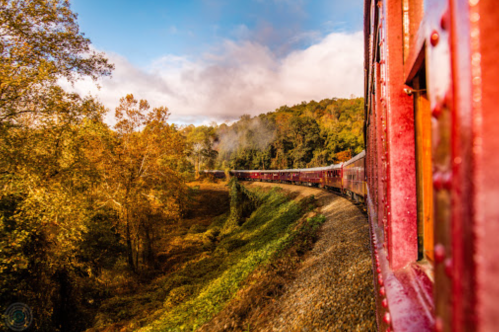 A scenic view from a train window, showcasing autumn foliage and a winding track through a lush landscape.