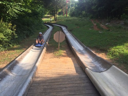 A person on a blue sled slides down a water slide, surrounded by greenery and a wooden path.