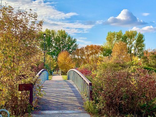 A wooden bridge arches over a path surrounded by colorful autumn foliage under a blue sky with fluffy clouds.