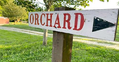 A wooden signpost with the word "ORCHARD" in red, pointing towards a grassy path and trees in the background.