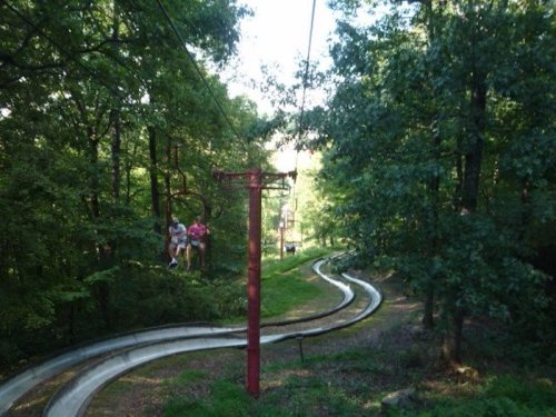 Two people ride a summer toboggan on a winding track through a lush green forest.