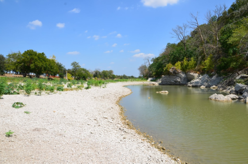 A serene riverbank with a sandy shore, surrounded by greenery and trees under a clear blue sky.