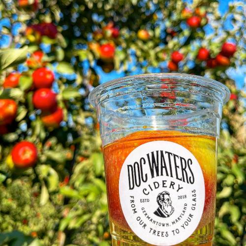 A clear cup of cider with a logo, surrounded by apple trees laden with red apples.