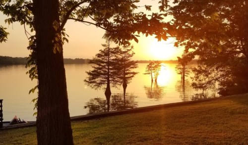 Sunset over a calm lake, with silhouetted trees and a golden sky reflecting on the water's surface.