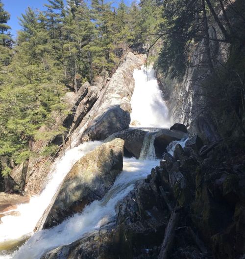 A cascading waterfall flows over rocky terrain, surrounded by lush green trees under a clear blue sky.