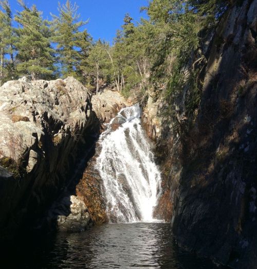 A serene waterfall cascading down rocky cliffs, surrounded by lush green trees under a clear blue sky.