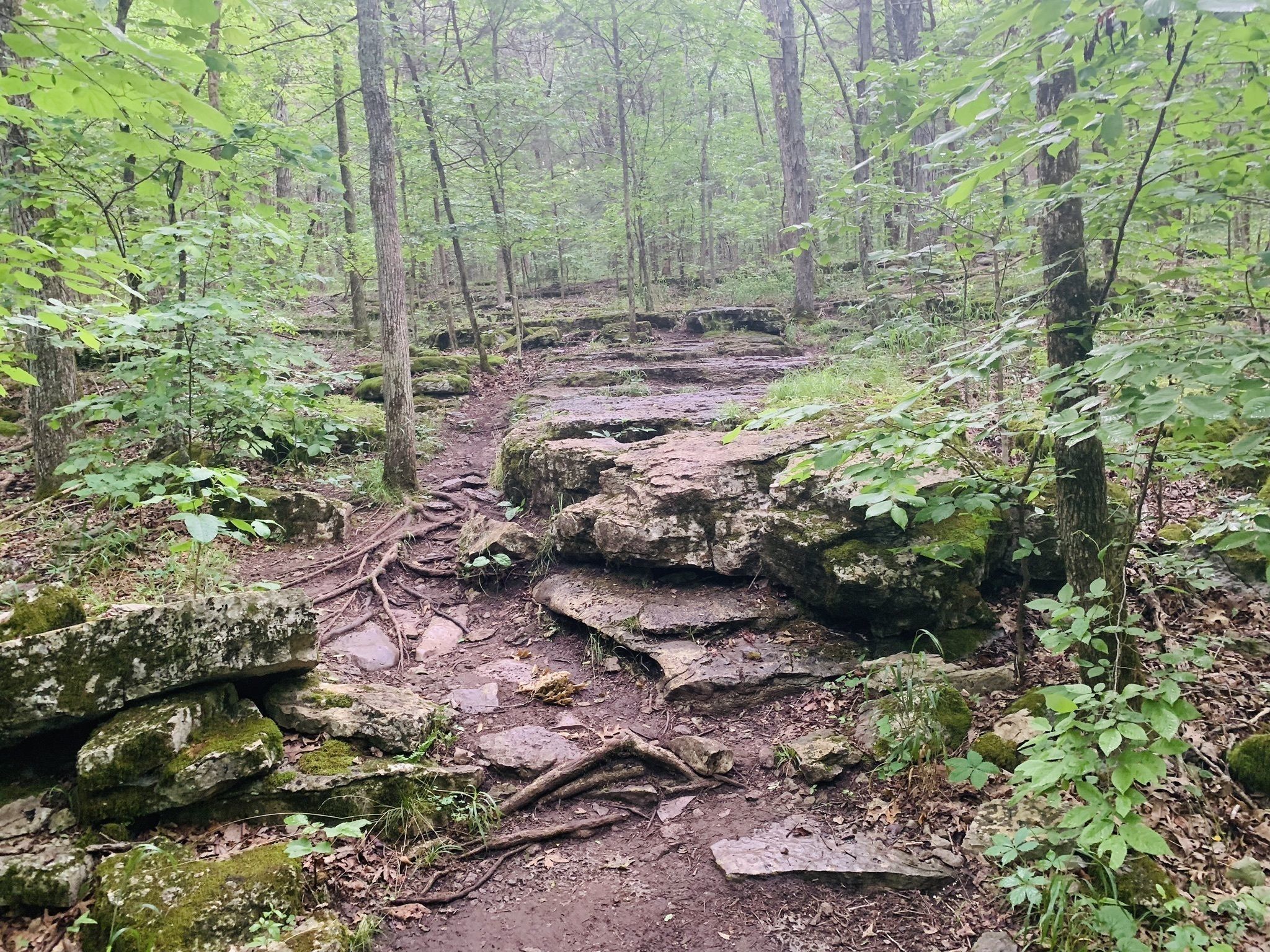 Long hunter state park volunteer trail hotsell