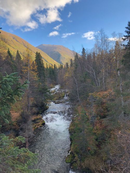 A serene river flows through a forested valley, surrounded by mountains and autumn foliage under a blue sky.