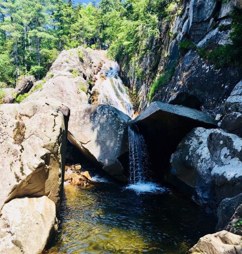 A serene waterfall cascading over rocks into a clear pool, surrounded by lush greenery and trees.