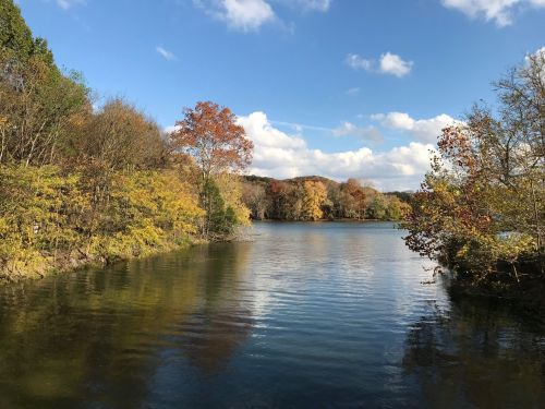 A serene lake surrounded by trees with autumn foliage under a clear blue sky and fluffy white clouds.