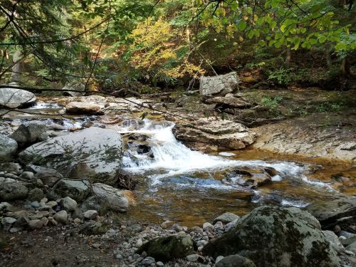 A serene stream flows over rocks, surrounded by lush greenery and colorful autumn leaves.