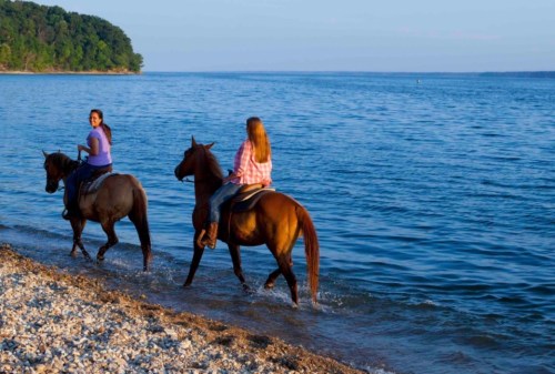 Two women ride horses along a shoreline, with calm water and trees in the background under a clear blue sky.