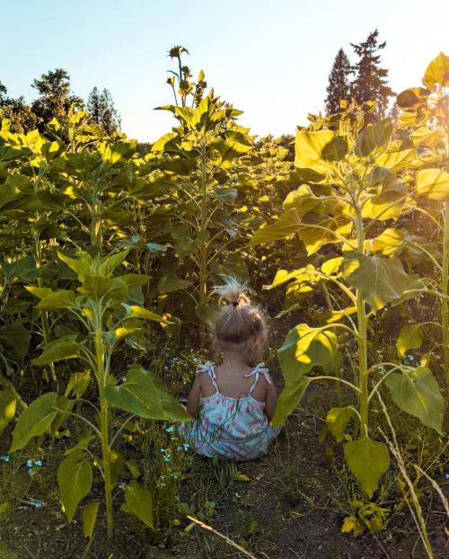 A young child sits among tall sunflowers, surrounded by greenery and sunlight, enjoying a peaceful moment in nature.