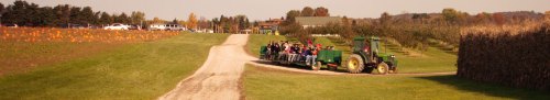 A tractor pulls a wagon filled with people along a dirt path through a pumpkin patch on a sunny autumn day.