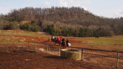 A line of horseback riders trails across a grassy field with a wooded hill in the background.