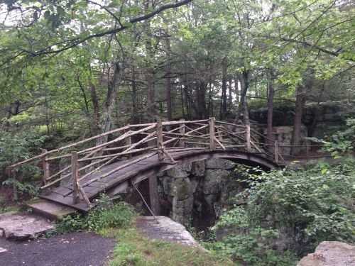 A wooden bridge arches over a rocky area, surrounded by lush green trees and foliage.
