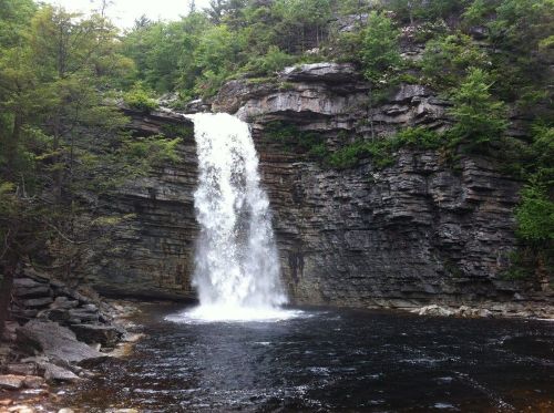 A cascading waterfall flows over rocky cliffs into a serene pool, surrounded by lush green trees.