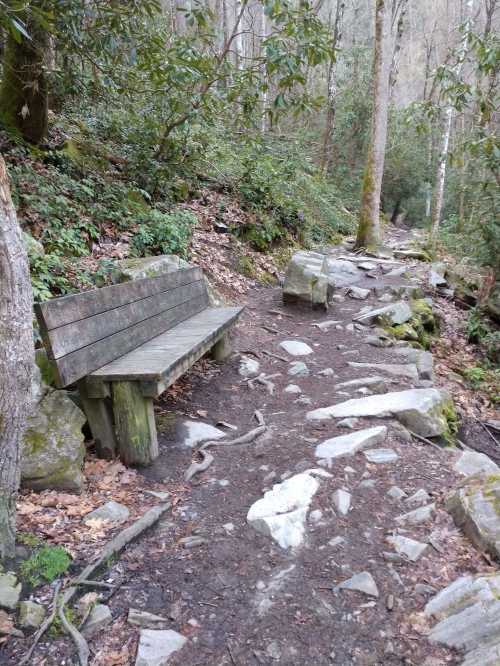 A wooden bench beside a rocky trail surrounded by trees and greenery in a forested area.