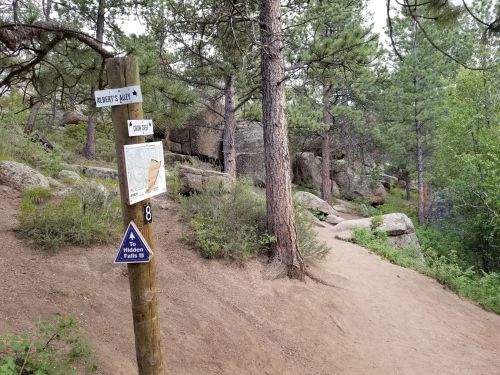 A wooden trail sign with multiple directional arrows in a forested area, surrounded by trees and rocky terrain.