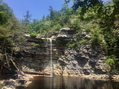 A serene waterfall cascades over rocky cliffs into a calm pool, surrounded by lush greenery and trees.