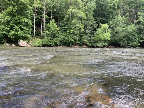 A serene river flows through a lush green forest, with trees lining the banks and rocks visible in the water.