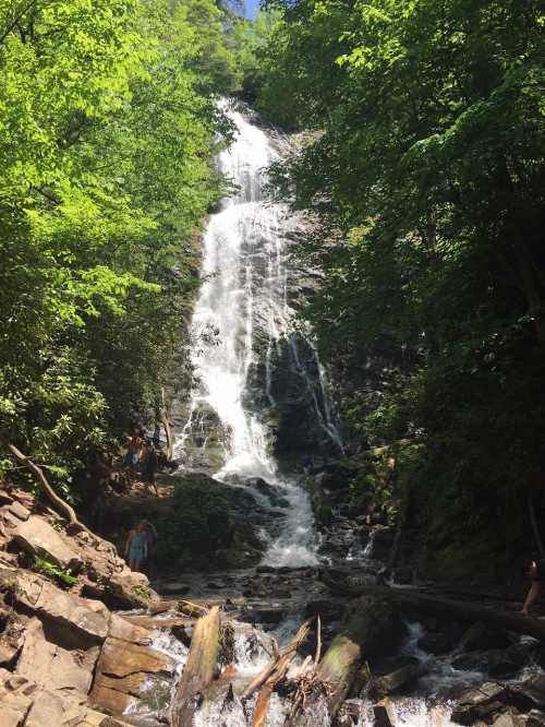 A cascading waterfall surrounded by lush green trees and rocky terrain, with people enjoying the scenery below.