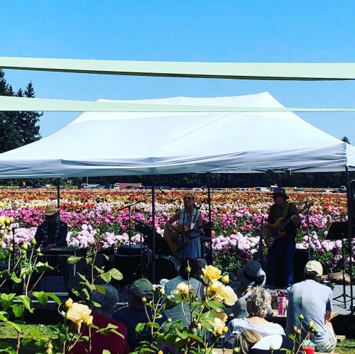 A band performs under a tent in a flower field, surrounded by colorful blooms and an audience enjoying the music.