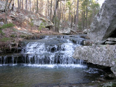 A serene waterfall cascades over rocks in a forested area, surrounded by trees and natural scenery.