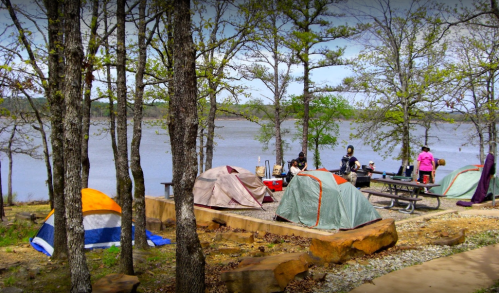 A lakeside campsite with several tents, picnic tables, and people enjoying the outdoors among trees.