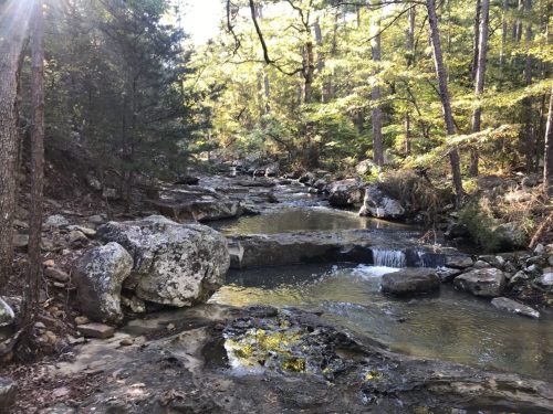A serene forest stream with rocky banks and gentle waterfalls, surrounded by lush green trees in sunlight.