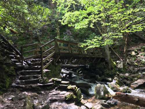 A wooden bridge over a small stream, surrounded by lush greenery and rocky terrain in a forested area.