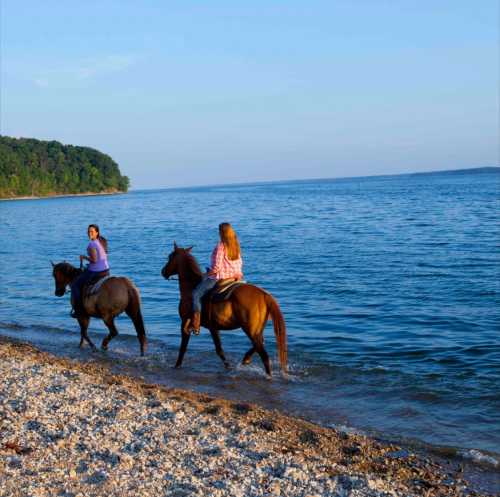 Two riders on horseback walk along a beach by the water, with trees in the background and a clear blue sky.