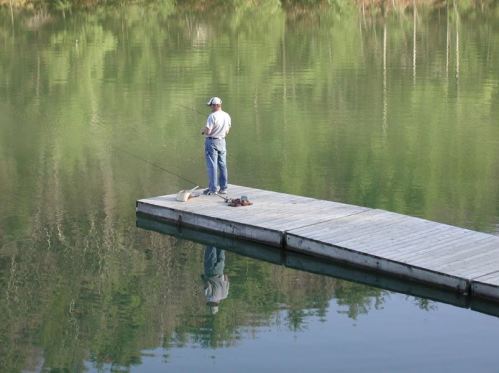 A person fishing from a wooden dock, surrounded by calm water and lush greenery reflecting in the lake.