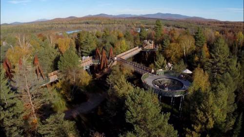 Aerial view of a forested area with elevated walkways and observation platforms surrounded by colorful autumn foliage.