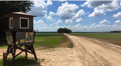 A wooden observation tower beside a dirt road, with fields and a blue sky filled with clouds in the background.