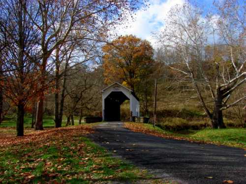 A scenic view of a covered bridge surrounded by autumn trees and fallen leaves under a blue sky.