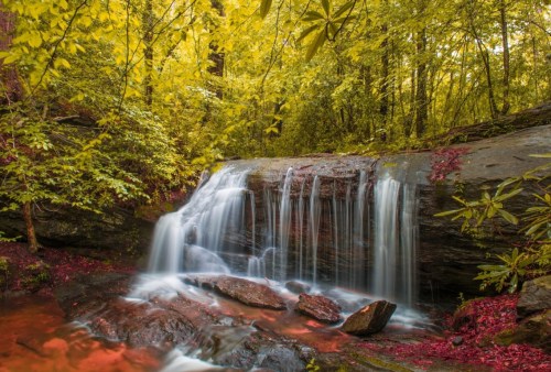 A serene waterfall cascades over rocks, surrounded by vibrant green trees and autumn leaves.