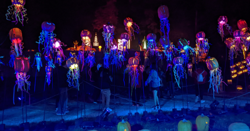Colorful illuminated jellyfish sculptures in a dark setting, with people walking among them.