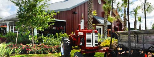 A red vintage tractor parked near a barn surrounded by greenery and colorful flowers under a blue sky.