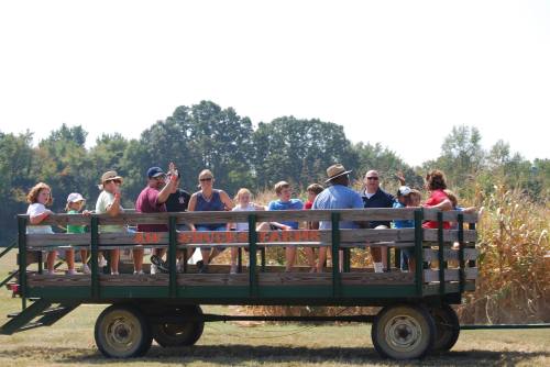A group of people enjoying a hayride on a sunny day, sitting on a wagon surrounded by fields and trees.