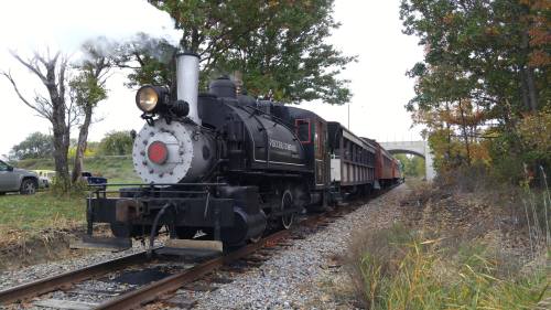 A vintage steam locomotive with a black and white design pulls a train of wooden cars along a tree-lined track.