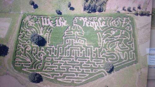 Aerial view of a corn maze featuring the words "We the People" and intricate designs within the maze layout.