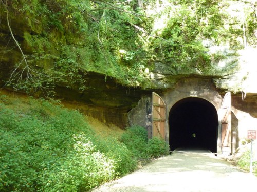 A dark tunnel entrance surrounded by lush greenery and rocky terrain, with wooden doors partially open.