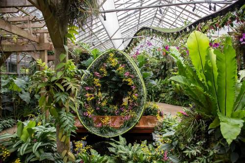 Lush greenhouse filled with vibrant orchids and tropical plants, featuring a circular floral arrangement.